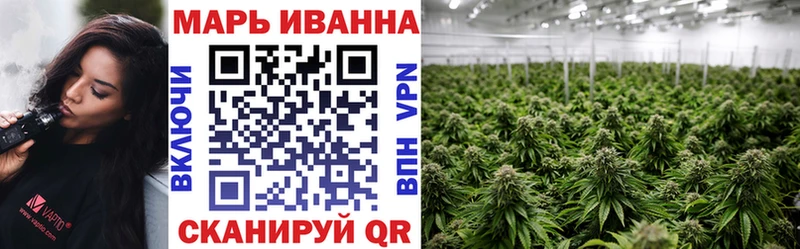 Марихуана сатива Пересвет
